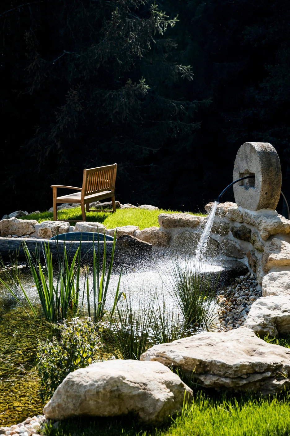 The pond